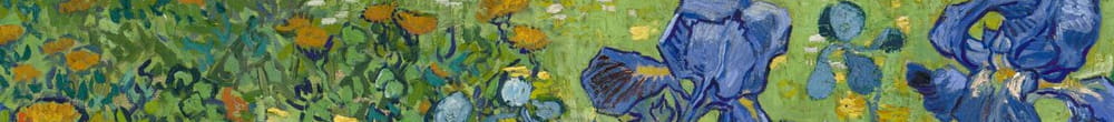 Iriser (Vincent van Gogh)