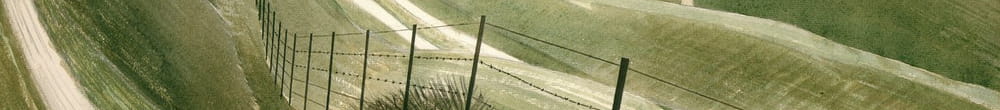 Krittstier (Eric Ravilious)