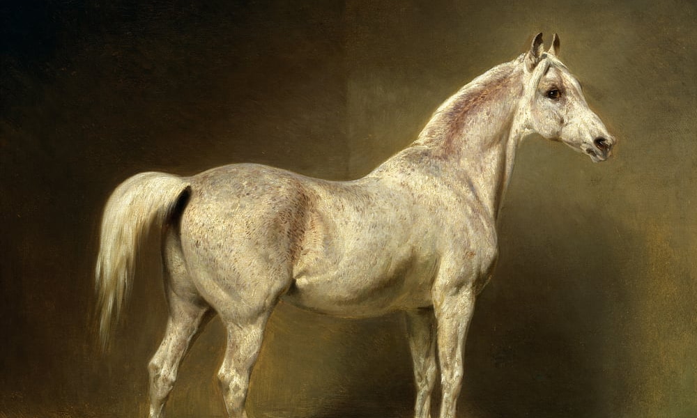 Hester
