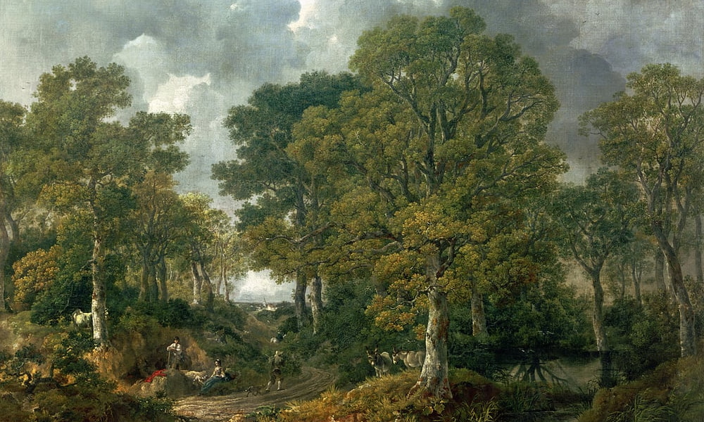 Skog