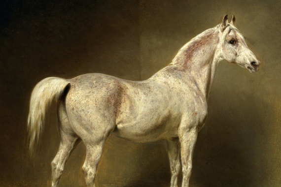 Hester