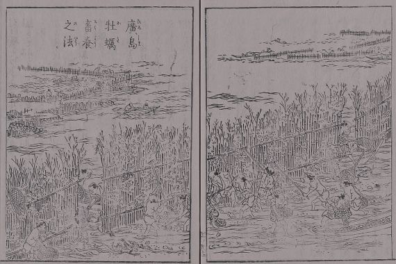 蔀関月 Kangetsu