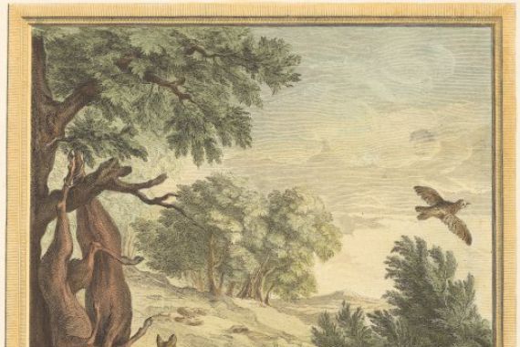 A. J. de Fehrt after Jean Baptiste Oudry