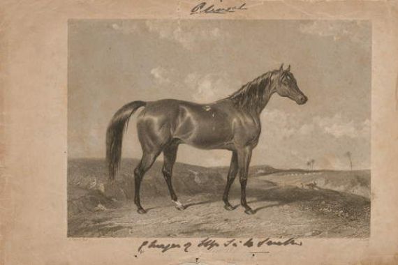 Abraham (after) Cooper