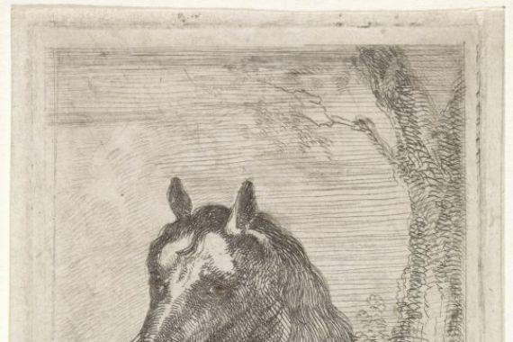 Aert Schouman (signed by artist)