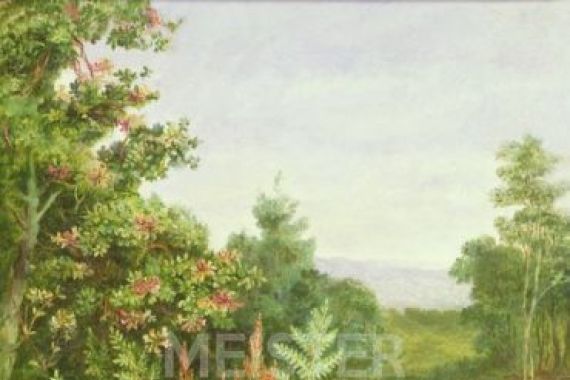 Albert Durer Lucas