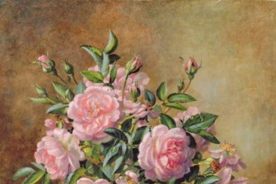 Albert Williams