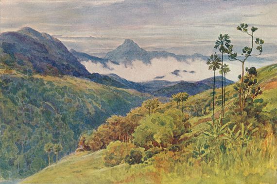 Alexander Henry Hallam Murray