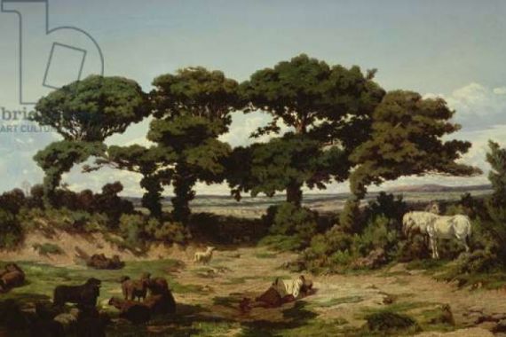 Alexandre Sege