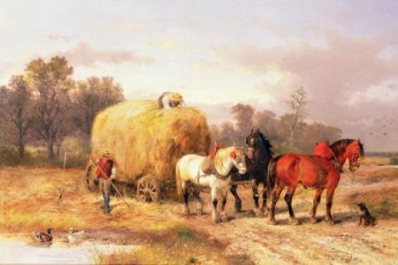 Alexis de Leeuw
