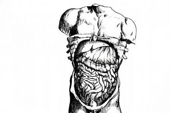 Andreas Vesalius