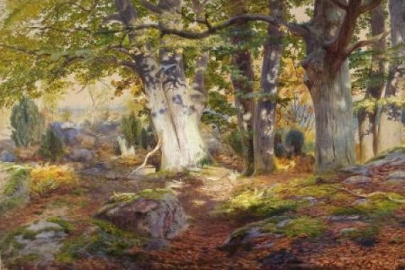 Andrew MacCallum