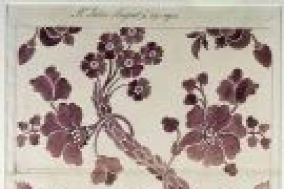 Anna Maria Garthwaite