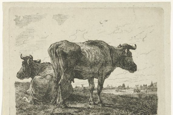 Anthony Jacobus Offermans