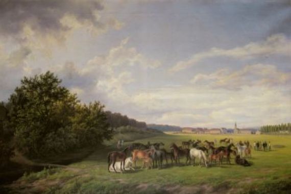 Anton Schiffer