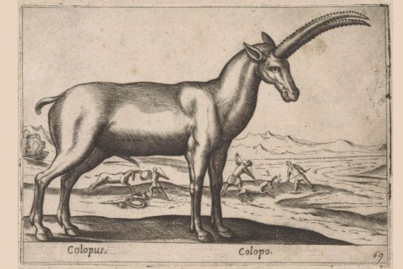 Antonio Tempesta
