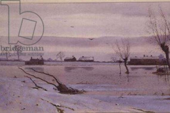 Arthur Anderson Fraser