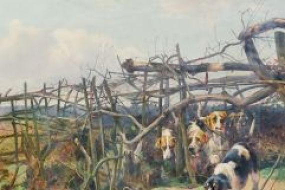 Arthur Charles Dodd