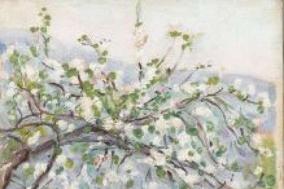 Arthur Haythorne Studd
