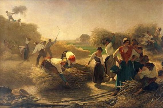 Auguste Joseph Herlin