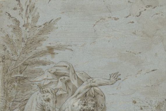 Augustin Braun (possibly)