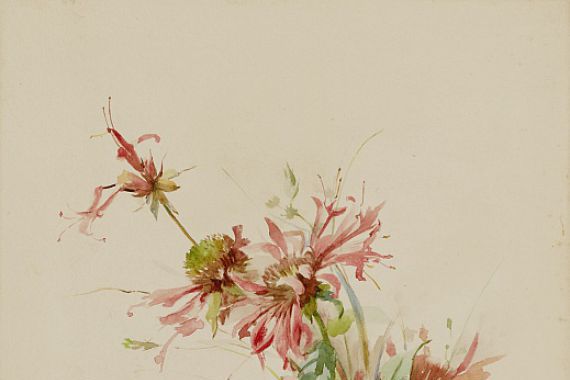 Austa Densmore Sturdevant