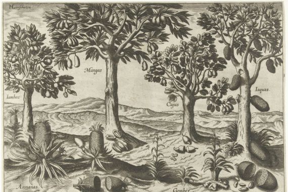 Baptista van Doetechum