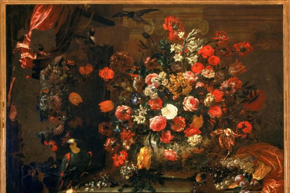 Bartolomeo Bimbi