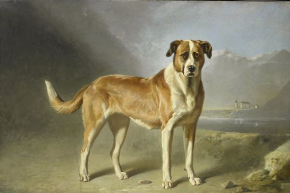 Bernard te Gempt