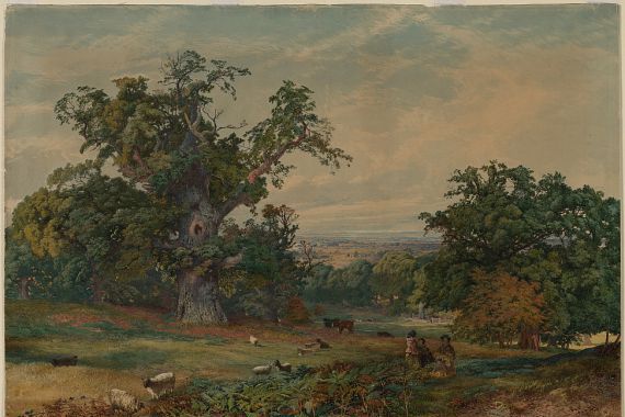 Bradford Rudge