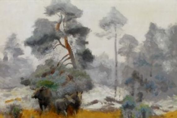 Bruno Andreas Liljefors