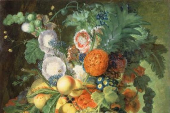 C. Kuipers