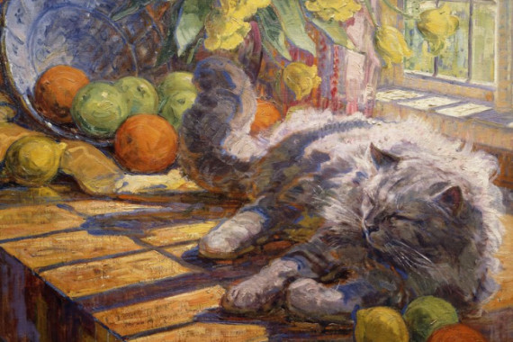 Carl Budtz Moller