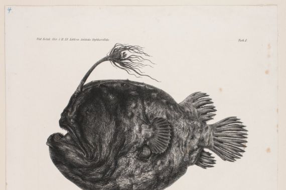 Carl Christian Larsen Cordts