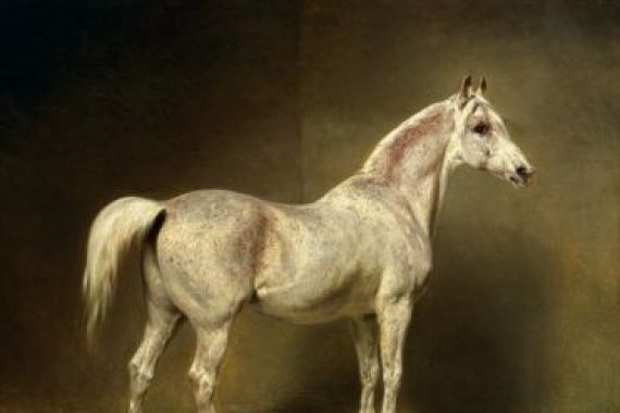 Carl Constantin Steffeck