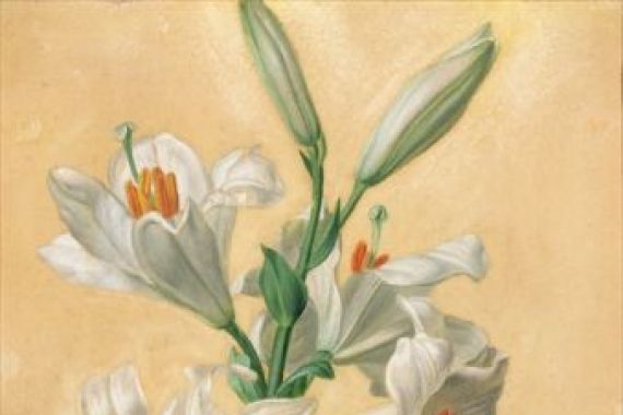 Carl Franz Gruber