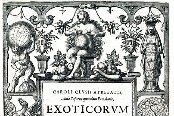 Carolus Clusius
