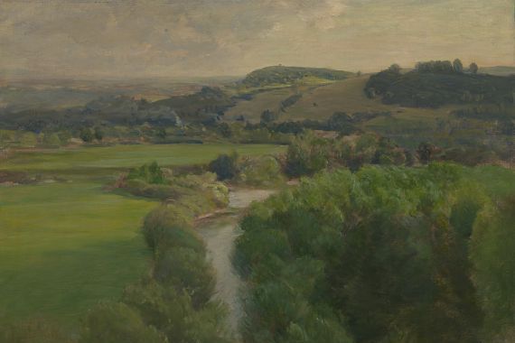 Charles A. Platt