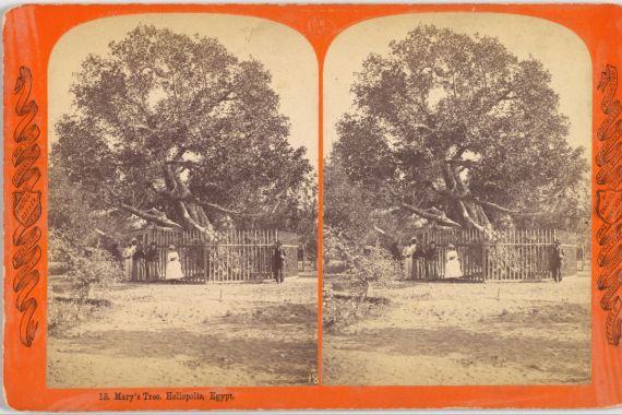 Charles Bierstadt