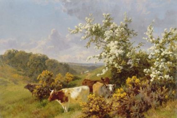 Charles Collins