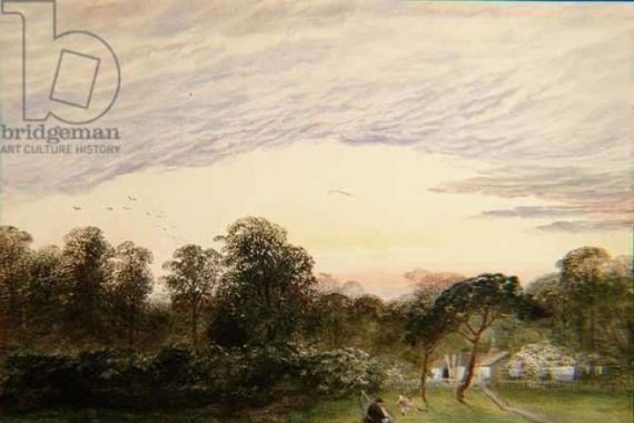 Charles Frederick Williams