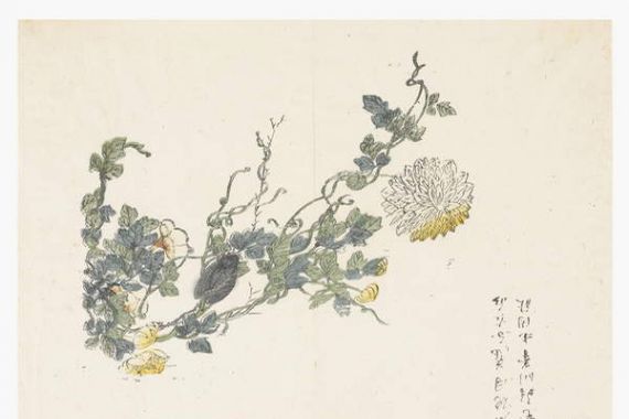 Chen Chung Jan (after)