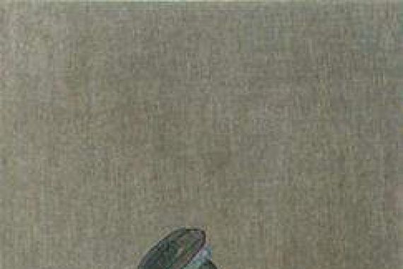 Chien Shun Chu (after)