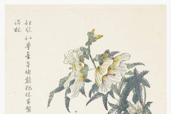 Chou Huang (after)