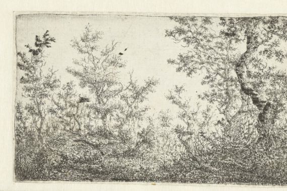Claes van Beresteyn