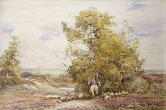 Claude Hayes