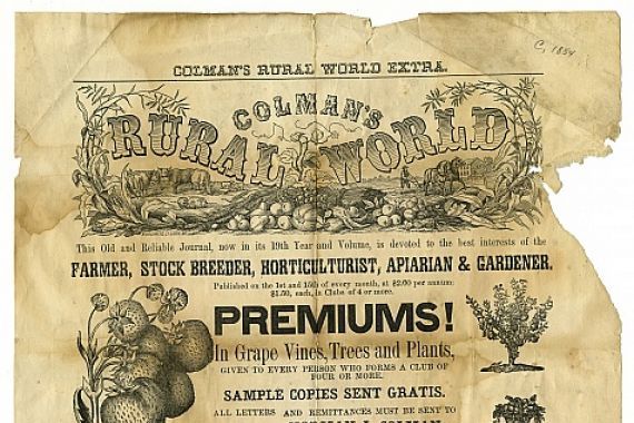 Colman World