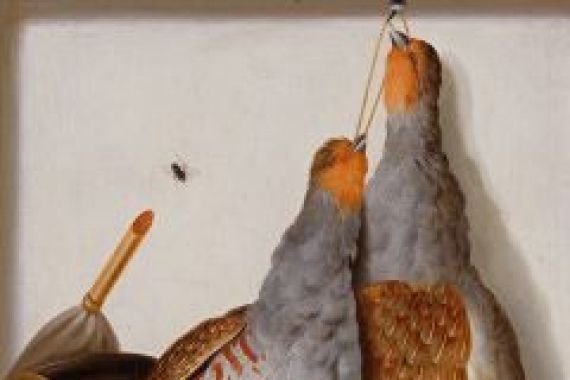 Cornelis Biltius