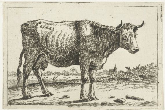 Cornelis Bisschop
