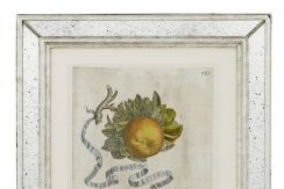 Cornelis Bloemaert
